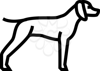 german shrothaired pointer dog line icon vector. german shrothaired pointer dog sign. isolated contour symbol black illustration