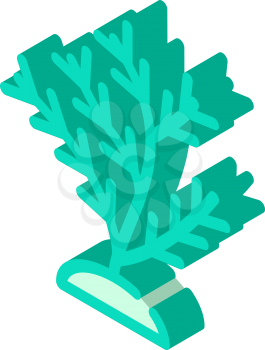 aquatic coral isometric icon vector. aquatic coral sign. isolated symbol illustration