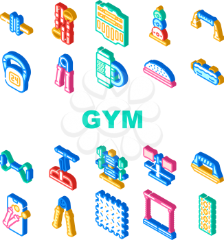 Home Gym Equipment Collection Icons Set Vector. Hand Expander And Massage Roll, Suitcase With Dumbbells Gym Tool, Skipping Rope And Exercise Mat Color Illustrations