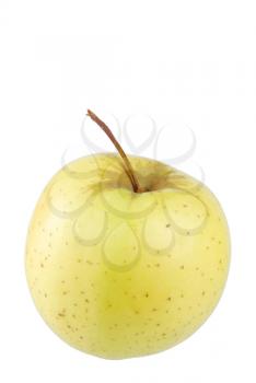 Royalty Free Photo of a Golden Delicious Apple 