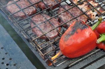 Royalty Free Photo of Meat and Peppers on a Barbecue