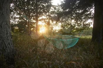 A green hammock in the forest with the sunset in the background