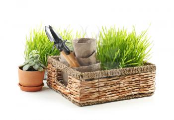 Wicker basket with plants, pots and gardening tools on white background�