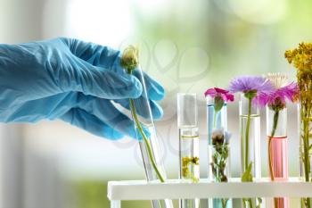 Laboratory worker taking test tube with plant, closeup�