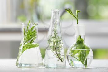 Flasks with plants on blurred background�