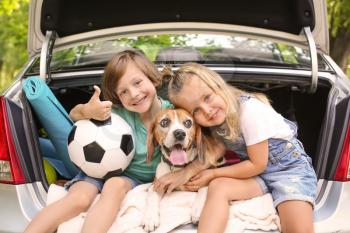 Cute children with dog sitting in car trunk�