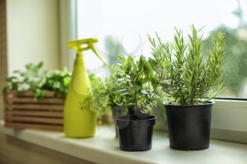 Pots with fresh aromatic herbs on windowsill�