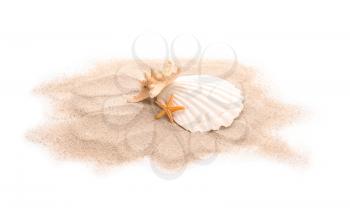Seashell, starfishes and sand on white background�