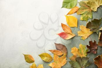 Beautiful autumn leaves on color background�