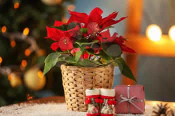 Christmas flower poinsettia with gift box and baby boots on table�