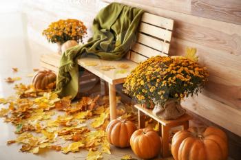 Beautiful autumn composition with bench, pumpkins and leaves near wooden wall�