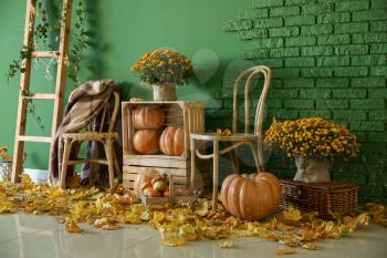 Beautiful autumn composition with wooden furniture, pumpkins and leaves near color wall�