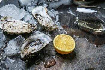Tasty raw oysters with ice, lemon and white wine on grey background�