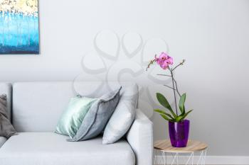 Beautiful orchid flower in interior of room�