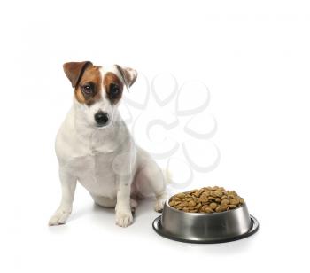 Cute funny dog and bowl with dry food on white background�