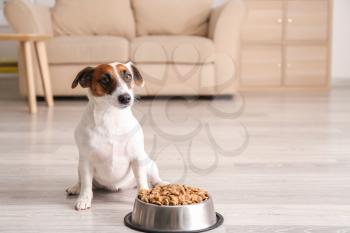 Cute funny dog near bowl with dry food at home�