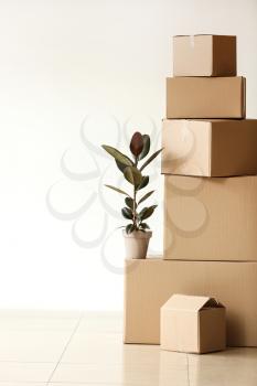 Moving boxes with plant near light wall�