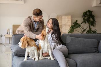Young couple with cute dogs at home�