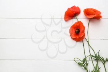 Beautiful red poppy flowers on white wooden background�