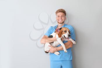 Male veterinarian with cute dog on light background�