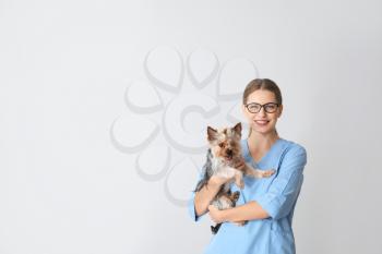 Veterinarian with cute dog on light background�