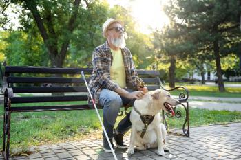 Blind mature man with guide dog sitting on bench in park�