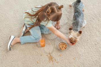 Careless little girl with dog eating nuts and drinking juice while sitting on carpet�