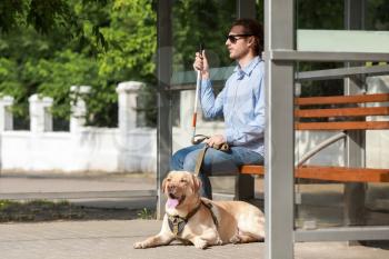 Blind young man with guide dog waiting for bus outdoors�