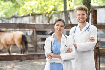 Veterinarians near paddock with horse on farm�