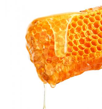 Fresh honeycombs on white background�