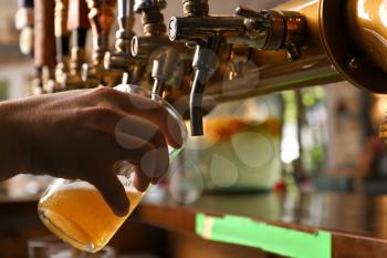 Barman pouring fresh beer in glass, closeup�