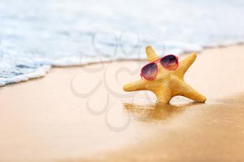 Starfish with sunglasses on sea coast. Christmas vacation�
