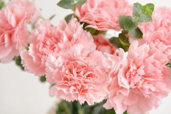 Bouquet of beautiful carnation flowers, closeup�
