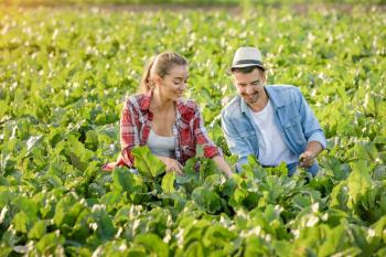 Young farmers working in field�