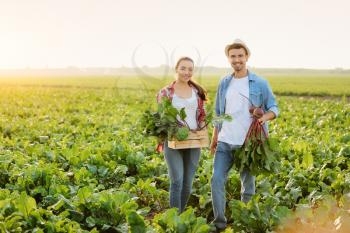 Young farmers with harvest of beetroots in field�