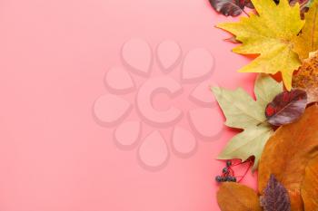 Beautiful autumn leaves on color background�