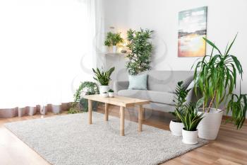 Stylish interior of living room with green houseplants�