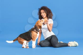 Beautiful African-American woman training her dog on color background�