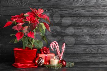 Christmas plant poinsettia with decor and gift on dark wooden background�