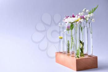 Test tubes with plants on light background�