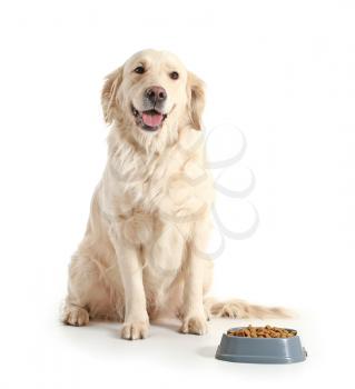 Cute dog near bowl with food on white background�