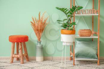 Rack with stool, houseplant and stylish decor near color wall in room�