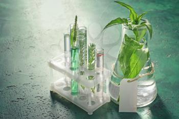 Test tubes and flask with plants on color table�