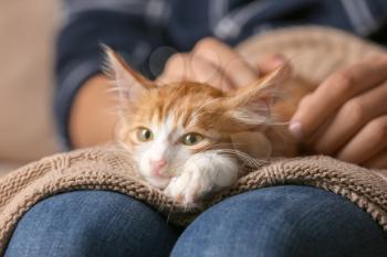 Woman with cute kitten at home, closeup�