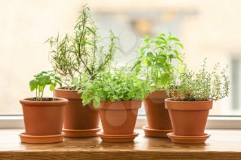 Pots with fresh aromatic herbs on wooden windowsill�