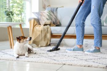 Owner of cute dog cleaning carpet at home�