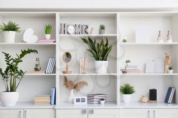 Shelf unit with books, houseplants and decor, closeup�