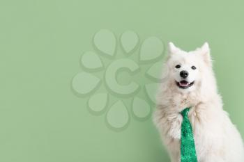 Cute dog with green necktie on color background. St. Patrick's Day celebration�