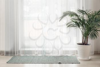 Light curtains with houseplant and rug in room�