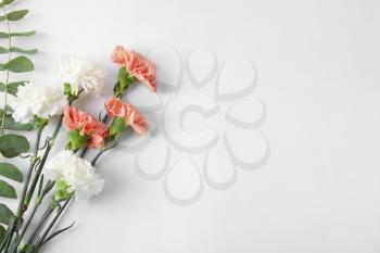 Fresh carnation flowers on white background�